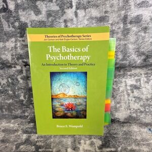 Basics of Psychotherapy Bruce Wampold 2nd Ed APA Textbook Psychology